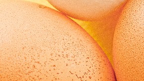 Huevos marrones o huevos blancos