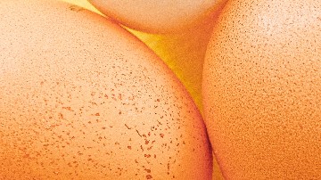 Huevos marrones o huevos blancos