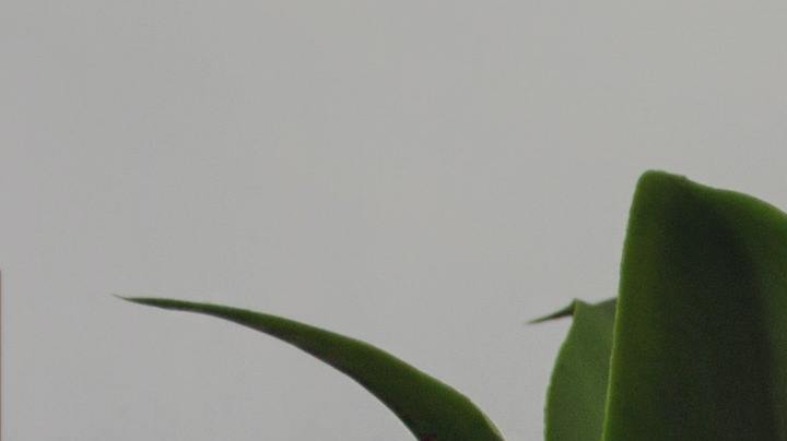 mala suerte, según el Feng Shui