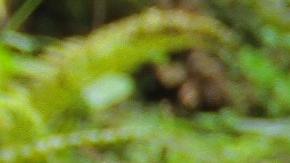 Aguantar las ganas de orinar