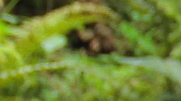 Aguantar las ganas de orinar