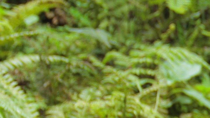 Aguantar las ganas de orinar