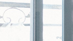 Insecticida casero de plantas