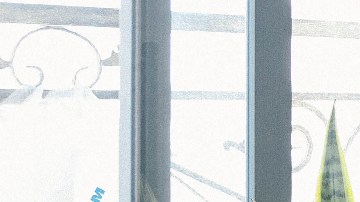 Insecticida casero de plantas