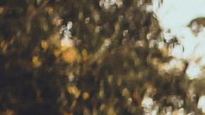 Qué significa soñar que te persiguen