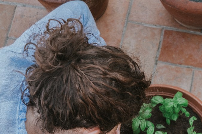 hierbas y especias buena suerte