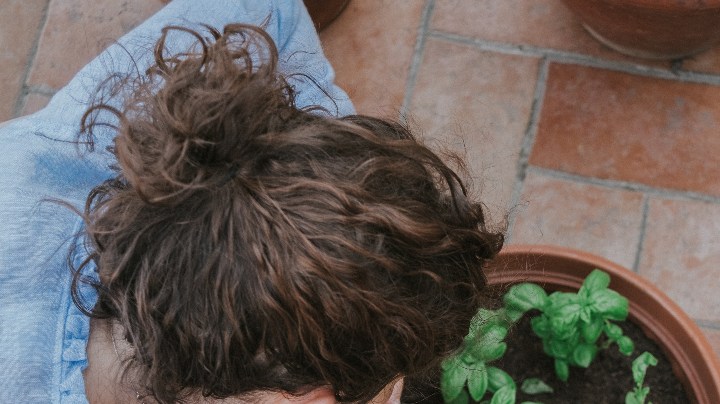 hierbas y especias buena suerte