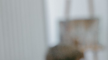 saber si está siendo abusado en la escuela