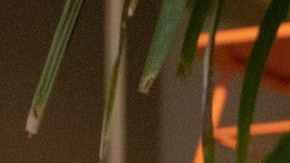 banderas rojas de que tu mente está envejeciendo