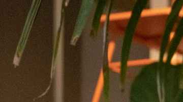 banderas rojas de que tu mente está envejeciendo