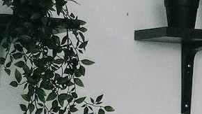 Limpieza sueca de la muerte