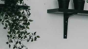 Limpieza sueca de la muerte