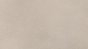 trucos caseros para que cucarachas no aparezcan