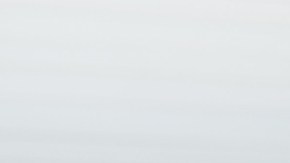 razas de perros para personas mayores