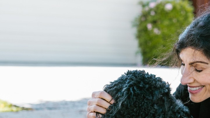 razas de perros para personas mayores