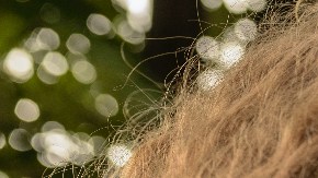 hábitos para implementar con tu pareja