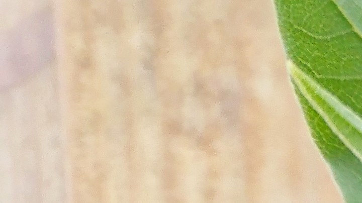 Amuleto de protección con laurel, ajo y papel de aluminio.