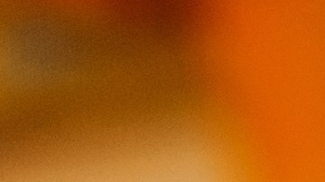 Tips que debes considerar al tener un rottweiler en casa.