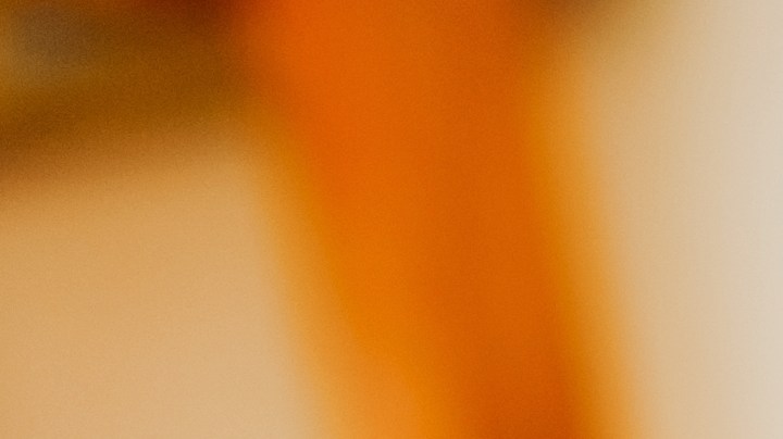 Tips que debes considerar al tener un rottweiler en casa.