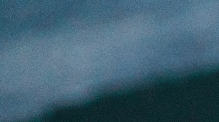 Cuán dañino es que te comas las semillas de los plátanos.