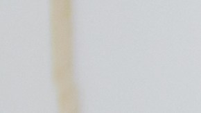 La razón por la que no debes añadir aceite al agua de los espaguetis.