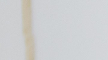 La razón por la que no debes añadir aceite al agua de los espaguetis.