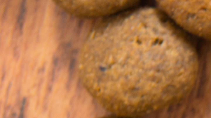 Por qué no debes darle comida cruda a tu mascota.