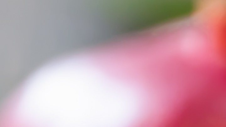 Qué alimentos te elevan la testosterona.