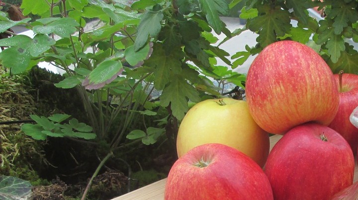 beneficios de incluir vinagre de manzana