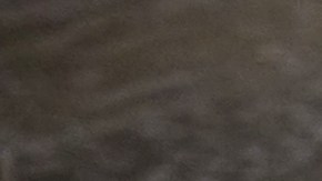 Tips de expertos para perder 2 kilos en dos semanas.