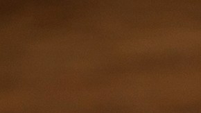 Cuáles son las bebidas que nunca debes tomar en una ola de calor.