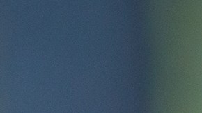 Tips para que tus hijos aprendan a criar a un cachorro.