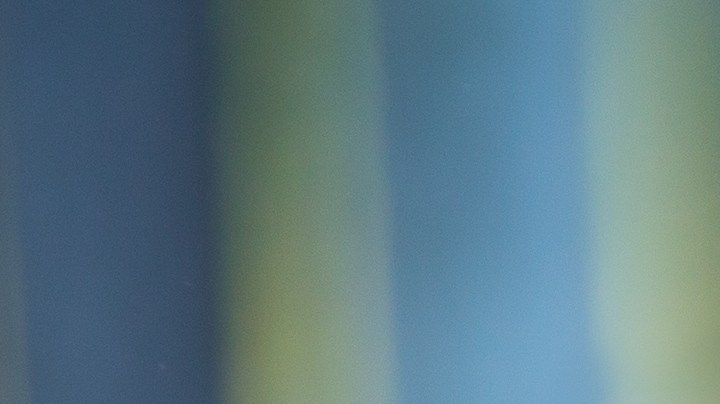 Tips para que tus hijos aprendan a criar a un cachorro.