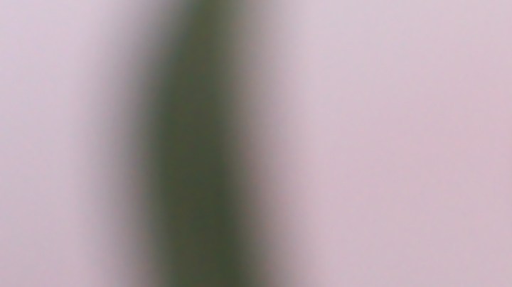 Cómo depilarte con azúcar: conoce el proceso completo.