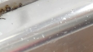 Cuáles son los errores que podrías cometer al destapar un fregadero o lavamanos.