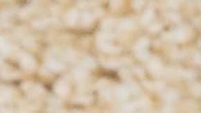 Cuáles son los errores que cometes al tratar de quitar manchas.