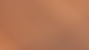 Cuáles son los alimentos que nunca debes meter en una freidora de aire.