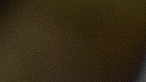 Cuáles son los mensajes que expresa un gato cuando te muerde.