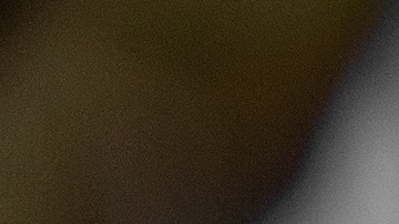 Cuáles son los mensajes que expresa un gato cuando te muerde.