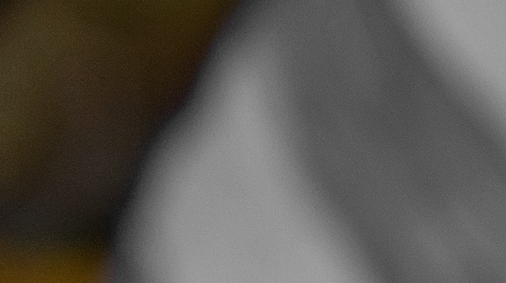 Cuáles son los mensajes que expresa un gato cuando te muerde.