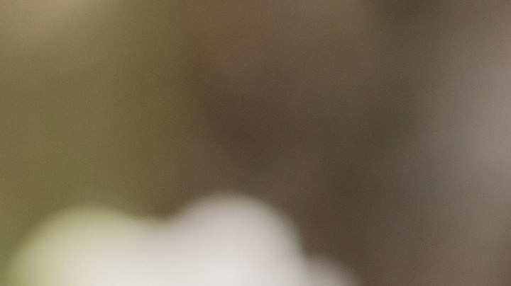 Gestos recomendados por terapeutas para que tu matrimonio dure toda la vida.