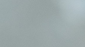 Cómo usar el laurel en el baño y gozar de sus beneficios.