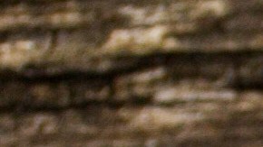 Cómo usar las hojas de laurel para espantar cucarachas.