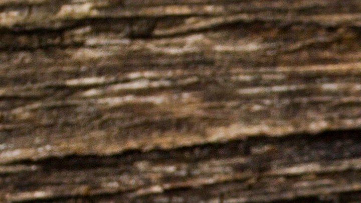 Cómo usar las hojas de laurel para espantar cucarachas.