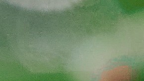 aromas que atraen mosquitos