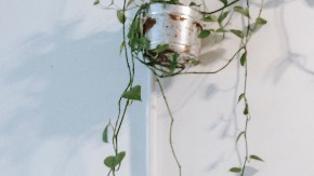 Feng Shui abundancia desde la cocina