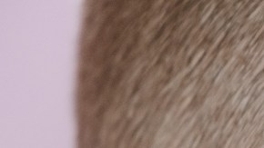 efectos secundarios de tomar multivitamínicos