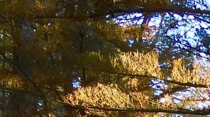 Test psicológico saber qué es lo más importante