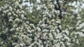 desarrollar su autoeficacia hijo