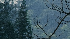 Cómo hacer un filtro de aire casero